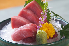 Nama Honmaguro Chutoro